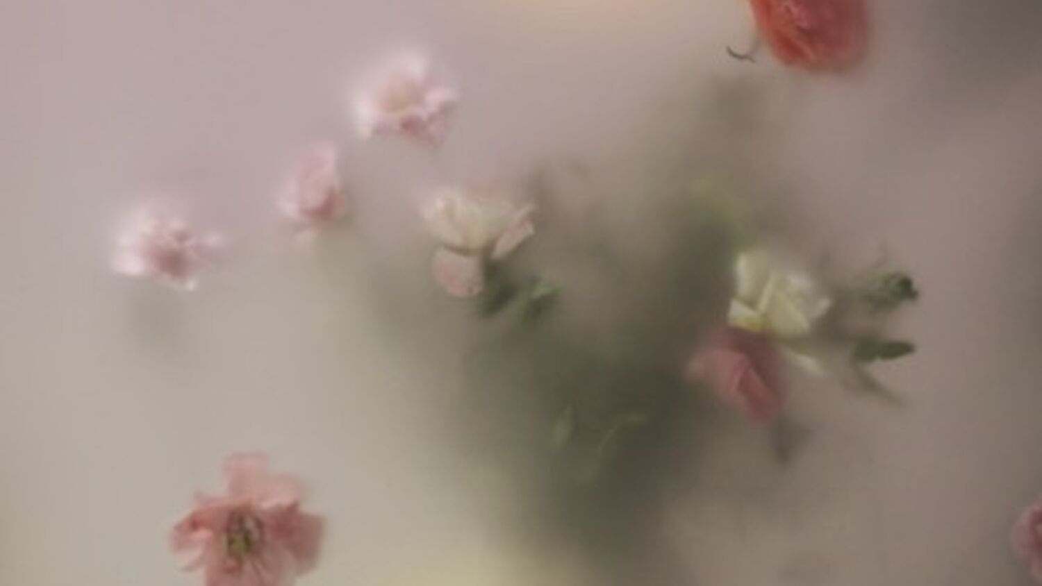 {$page->image->description}